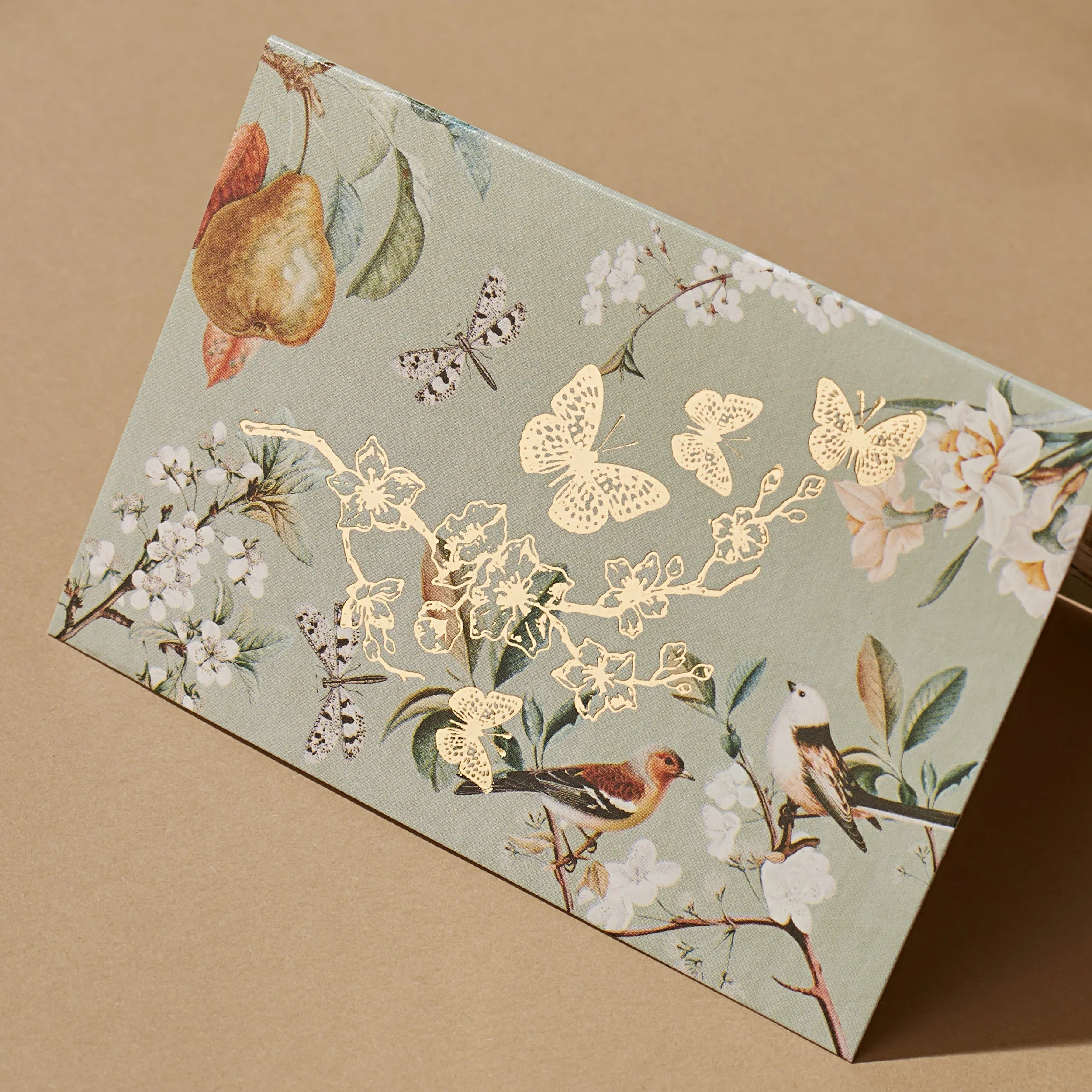 CHIRPING SPARROW - Fold Card